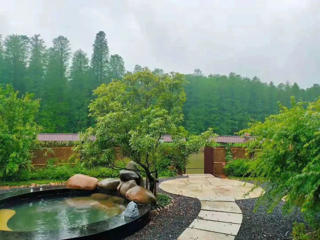 水上森林君澜酒店