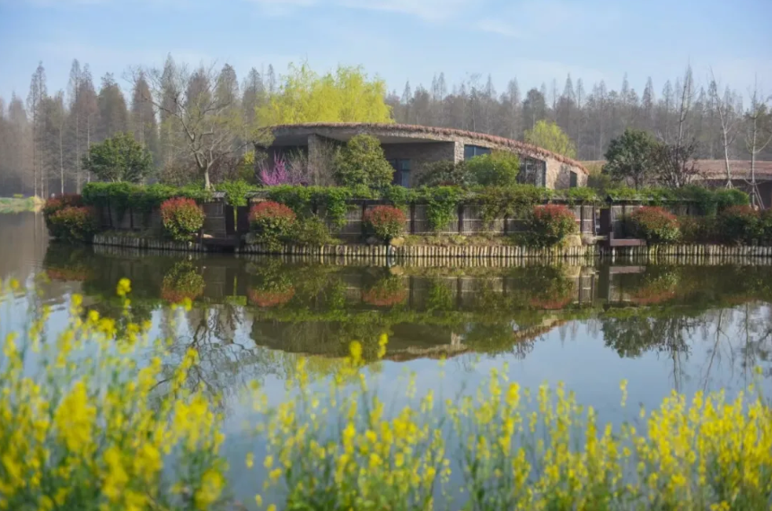 水上森林温泉熊掌别院