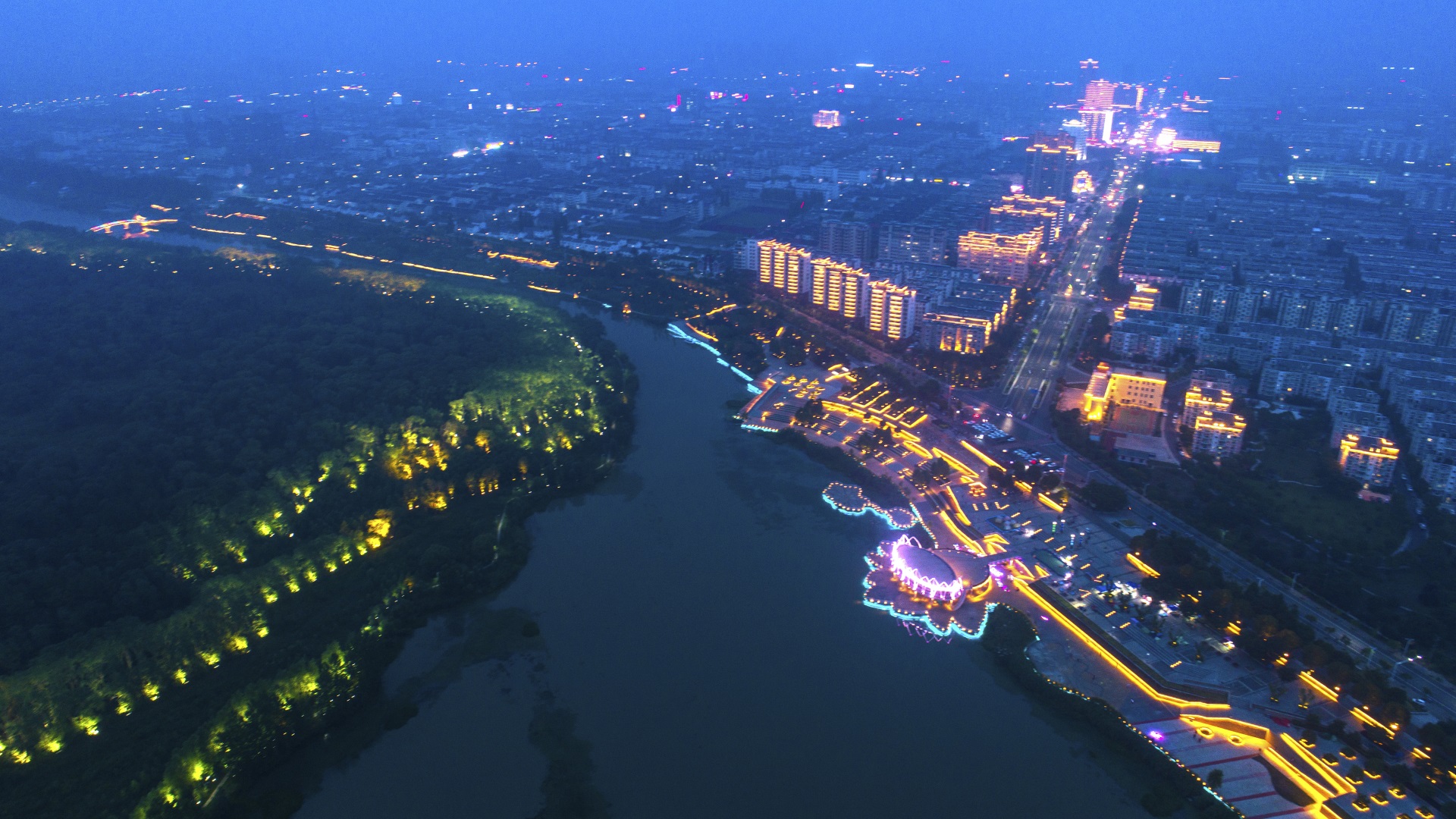 夏季盛荷消暑游