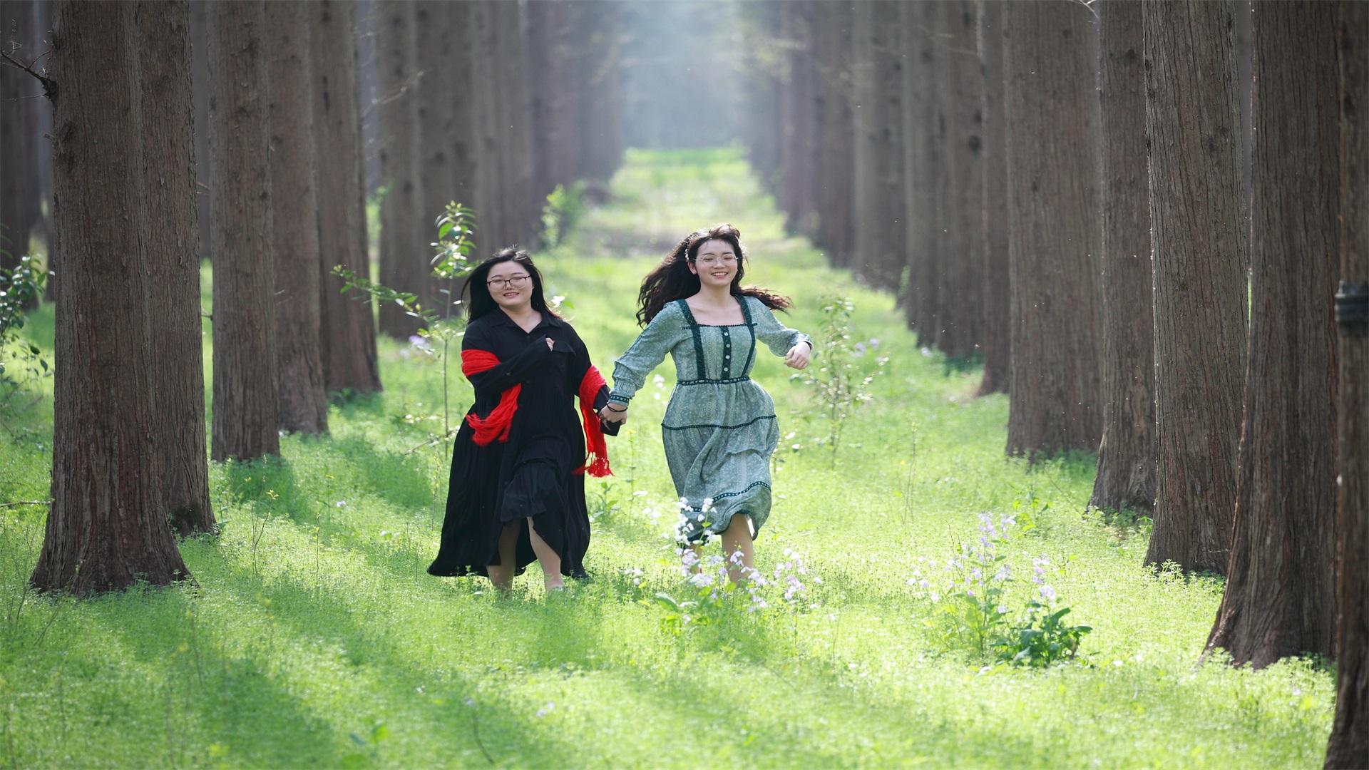 春日赏花采摘游