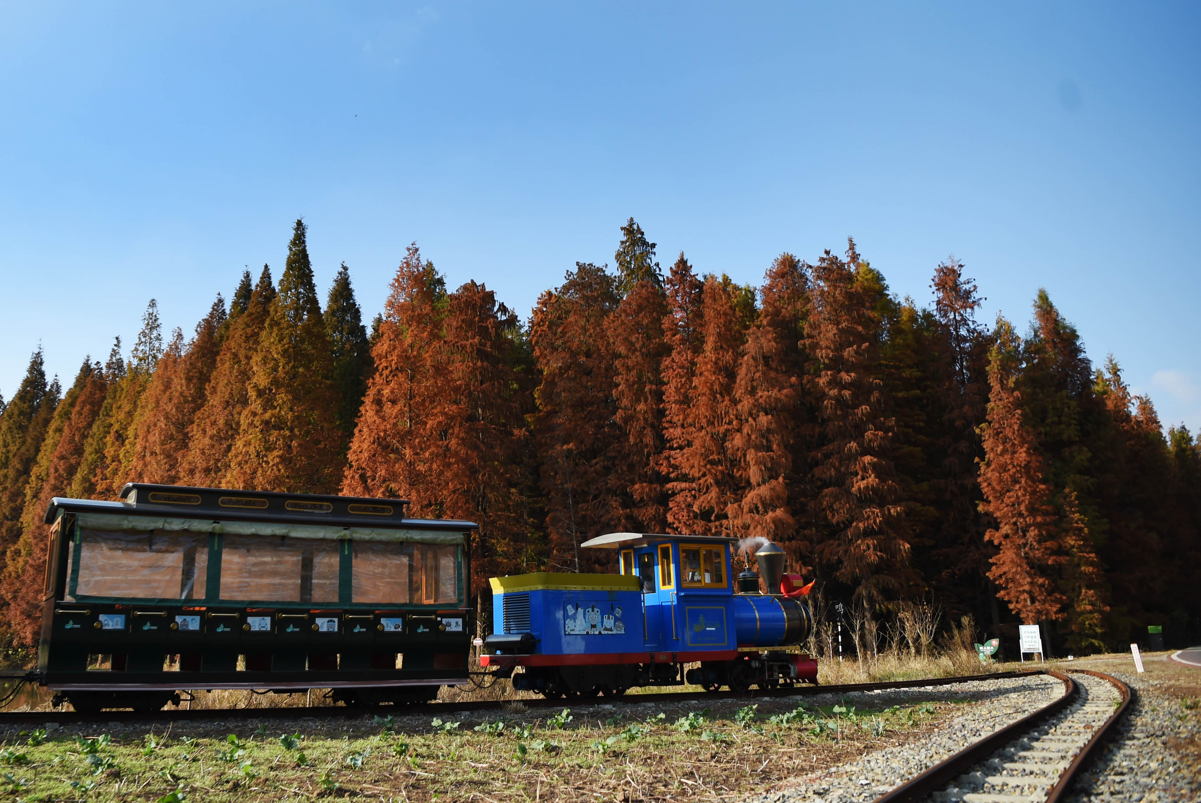 深秋水乡摄影一日游