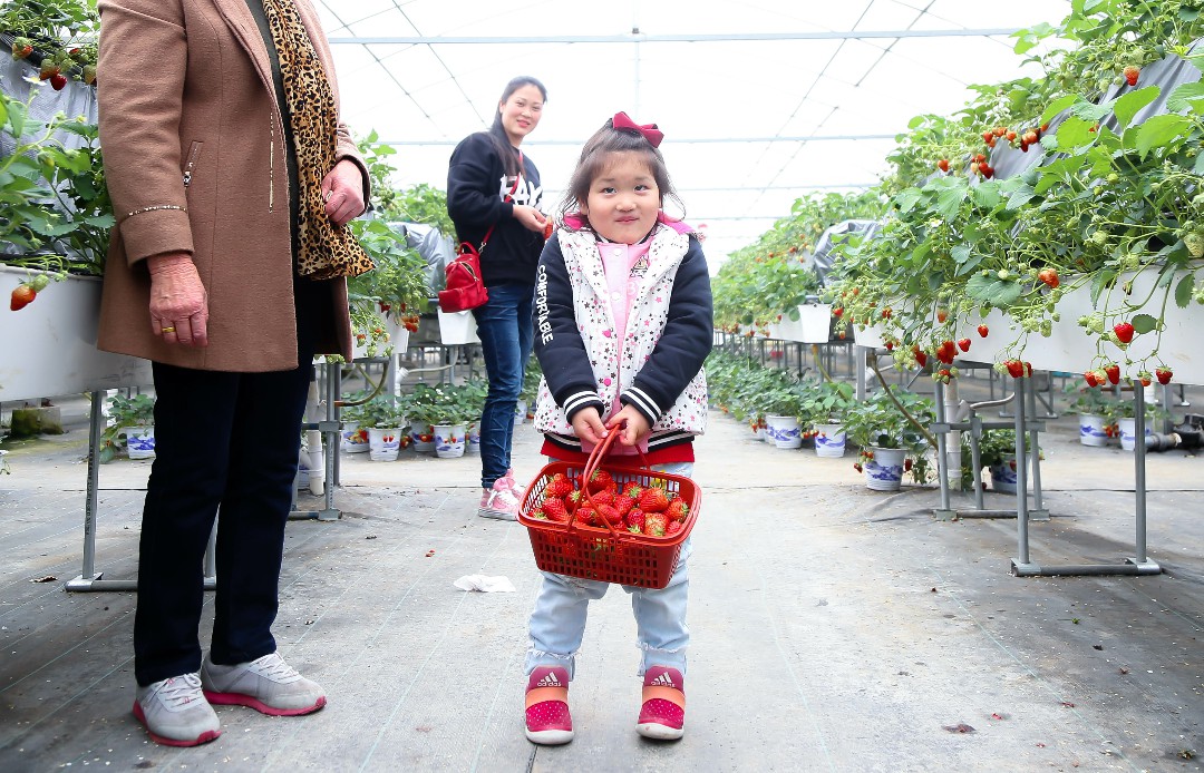 金绿源乡野庄园